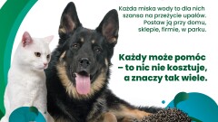 Apel "Fundacji Zwierz"