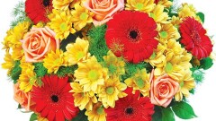 Dzień Pracownika Socjalnego