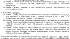 Informacja - nowe zasady usuwania drzew i krzewów z nieruchomości przez osoby fizyczne