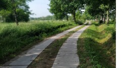 Kolejne inwestycje w infrastrukturę drogową na terenie Gminy Młynary z dofinansowaniem