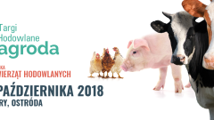 Targi Hodowlane ZAGRODA