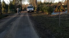 Wycinka drzew na terenie Gminy Młynary