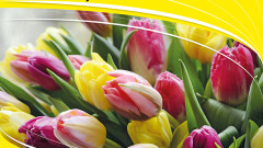 IX Wiosenne Targi Ogrodnicze