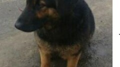 Za nami IV wspólna Wigilia Świąt Bożego Narodzenia!