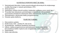 Kwalifikacje do służby zawodowej na stanowiska w korpusie szeregowych
