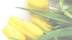 Życzenia z okazji Dnia Pracownika Gospodarki Komunalnej