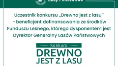 Czy wiesz, że drewno jako surowiec ma w świecie ponad 30 tys. zastosowań? 