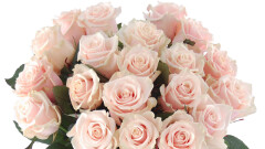 Dzień Babci i Dziadka.