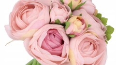 Dzień Działacza Kultury.