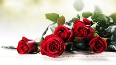 8 marca - Dzień Kobiet.