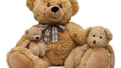 DZIEŃ PLUSZOWEGO MISIA