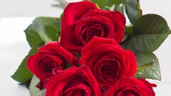 Dzień Pracownika Samorządowego