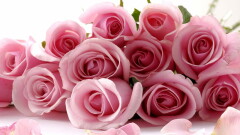 Dzień Pracownika Socjalnego.