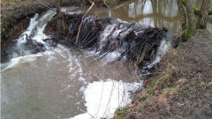 Informacja z wizji terenowych wzdłuż rzek gminnych