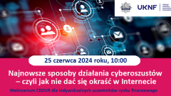 Jak nie dać się okraść w Internecie?