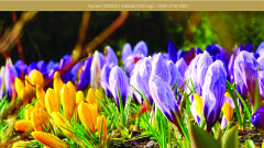 Nowy numer biuletynu "Prosto z Młynar".