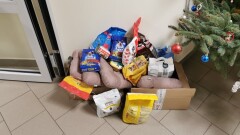 POMOC DLA BEZDOMNYCH ZWIERZĄT