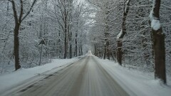 Przesunięcie odbioru odpadów komunalnych.