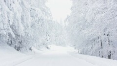 Przesunięcie odbioru odpadów komunalnych w miejscowościach: Bronikowo, Mikołajki, Ojcowa Wola, Sąpy 