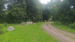 Ruszyły prace za Młynem w Młynarach !