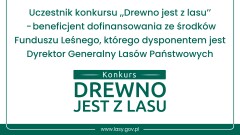 Skąd się bierze drewno?