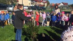 ŚWIATOWY DZIEŃ DRZEWA