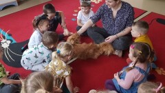 ŚWIATOWY DZIEŃ KOTA