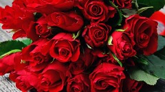 Światowy Dzień Seniora