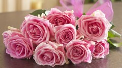 Światowy Dzień Seniora.