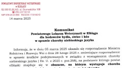 Ważny komunikat Powiatowego Lekarza Weterynarii w Elblągu dla hodowców bydła, owiec i kóz w sprawie choroby niebieskiego języka