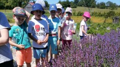 "Ziołowe Ogrody Zdrowia" 