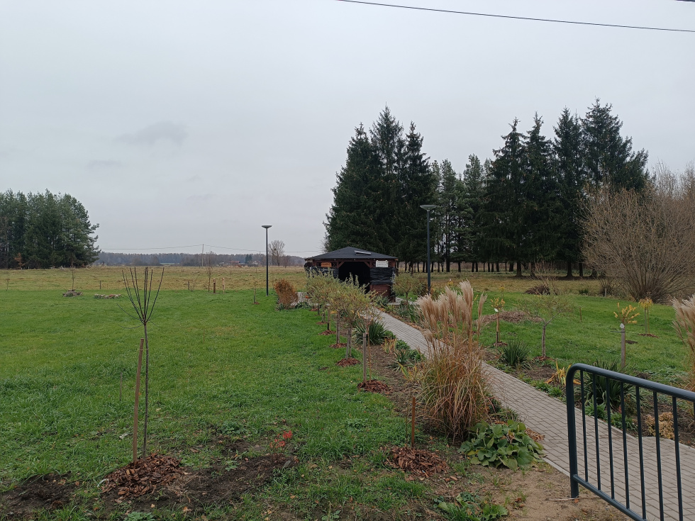 Zielone sołectwo –lampy solarne i nasadzenia roślin w m. Młynarska Wola, gmina Młynary